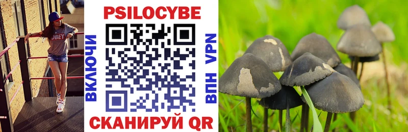 Купить  Ясногорск  Псилоцибиновые грибы Psilocybine cubensis 